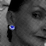 Kiss Of Life® & Visionary and - Printed Studs